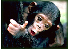 kÃƒÂƒÃ‚Â©kÃƒÂƒÃ‚Â©